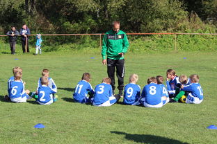 爱游戏全站app注册-德甲客场战术大公开，德甲打法