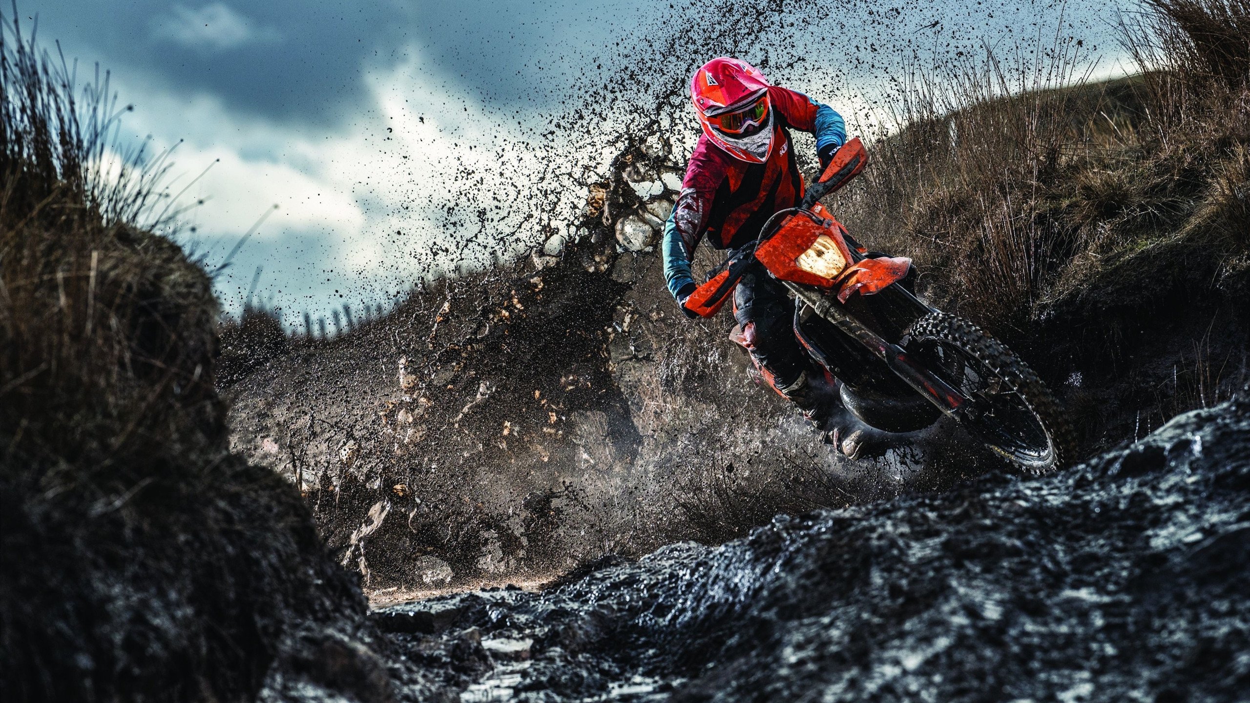 跳水动作流畅奥地利再获高分，澳大利亚的跳水运动员